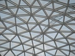 -陕西自然博物馆