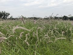 -汉长安城未央宫国家考古遗址公园