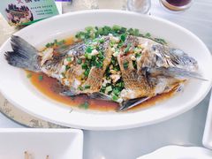 -金海湾海鲜排档(朱家尖店)