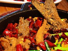 -老板恋上鱼(恒隆广场店)