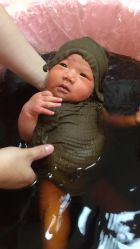 -安馨无忧月子中心(青秀店)