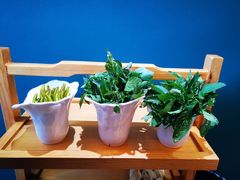 -野菌皇海景野生菌火锅(滨海大道店)
