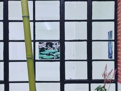 -胶囊画廊