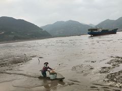 -北岐滩涂