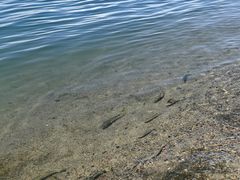 -青海湖二郎剑景区