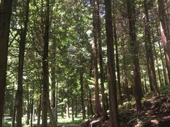 -四明山国家森林公园