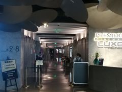 -百美汇影城(LUXE嘉里中心店)