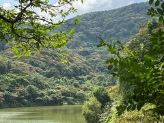 -黄埔油麻山森林公园