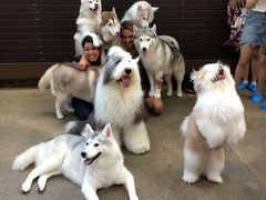 -TrueLove @ Neverland (Husky Cafe)