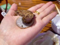 -蚝堡海鲜·威海菜·海肠捞饭·烧烤·亚洲吃蚝公司(幸福门店)