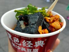 -黑色经典臭豆腐·湖南特产(坡子街店)