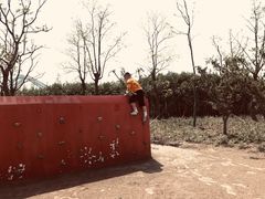 -春花秋色城市公园