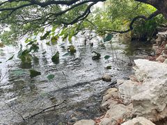 -东湖落雁景区