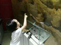 -上海昆虫博物馆