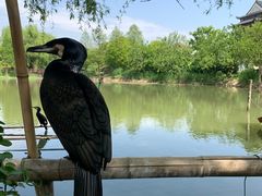 -长兴太湖图影湿地文化园