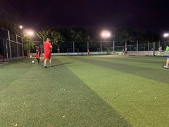 -金花茶公园