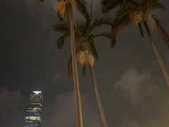 -香港皇家太平洋酒店