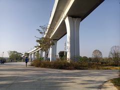 -宝安西湾红树林湿地公园