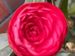 -金逸影城(光美江宁IMAX店)