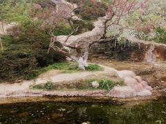 -秀丽东方