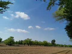 -王虎成猪排骨烩菜非物质文化遗产传承馆