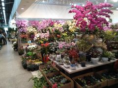 -双季花艺园艺市场(浦东店)
