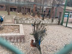 -南京金牛湖风景区