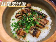 -红星光发煲仔饭(文海店)