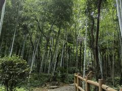 -上海佘山国家森林公园天马山园