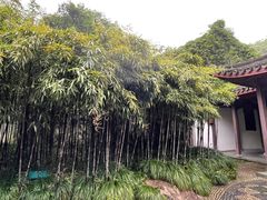 -杭州黄龙洞