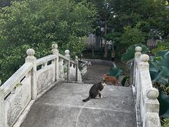 -龚家花园农家乐休闲别墅