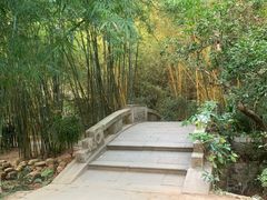 -深圳仙湖植物园