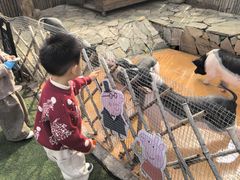 -HERRE·FARM 赫尔露营农场·团建聚会包场