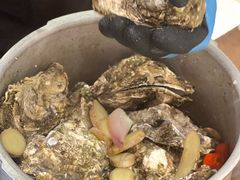 -乔街深夜食堂·台州菜·高压锅生蚝(杭州总店)