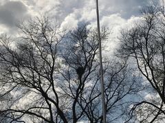 -北京佛教居士林