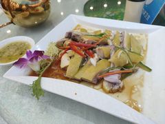 清远走地鸡-南海食街(佛冈店)