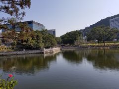 -大埔公路-马料水段香港中文大学(公交站)