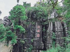 -梭布垭石林景区