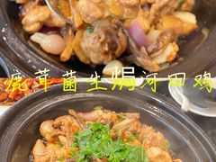 鹿茸菌生焗河田鸡-闽和南(深圳万象城店)