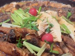 -老板恋上鱼(恒隆广场店)