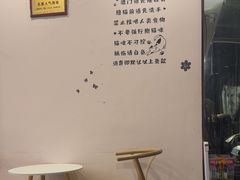 -猫咪派对(江南西店)