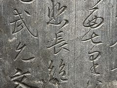 -安阳博物馆