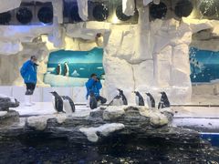 -华夏文旅海洋公园