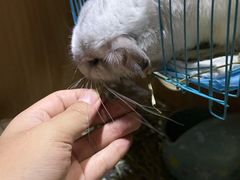 -关爱动物医院·心脏·中兽医·异宠(金牛路分院)