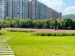 -南京航空航天大学(将军路校区)