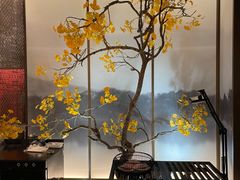 -京华烟云·北京烤鸭(领展购物广场·中关村店)