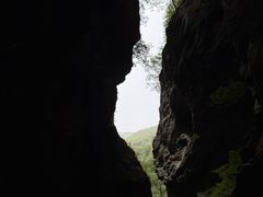 -牛背梁国家森林公园