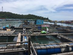 -海上驿站渔家菜馆