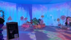 -超级奈尔宝SUPER NEOBIO(杭州星光店)