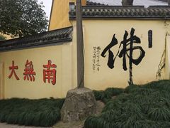 -赭山公园